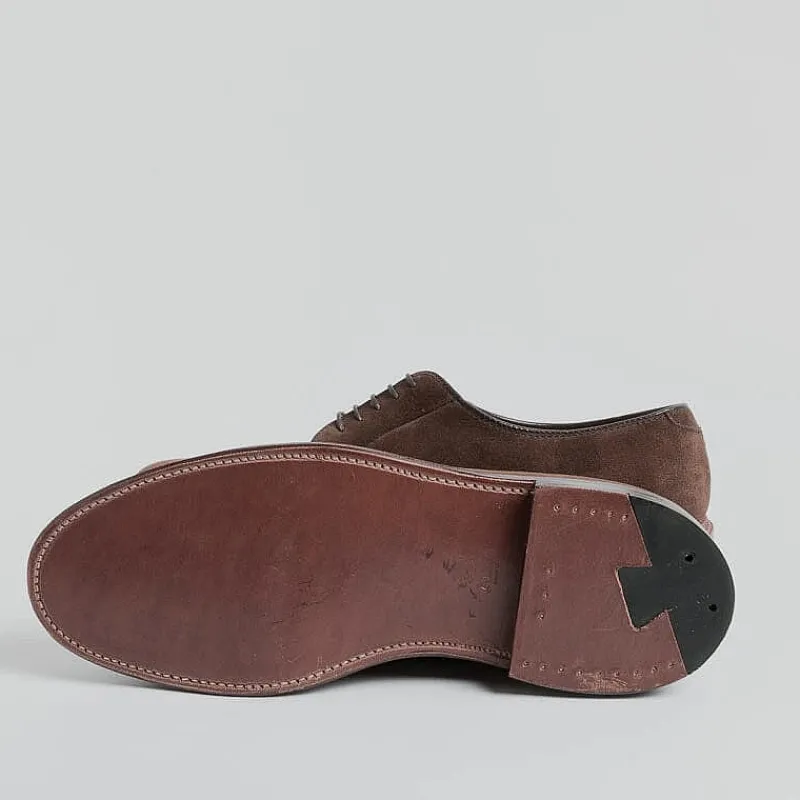 Alden - 9503 - Derby Camoscio - Tabacco<Collezione Scarpe Uomo Allacciate
