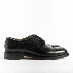 Berwick 1707 - 5273 Derby - Rois Nero<Collezione Scarpe Uomo Allacciate