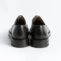 FABI - Derby - 982 - Deco Testa Di Moro<Collezione Scarpe Uomo Allacciate